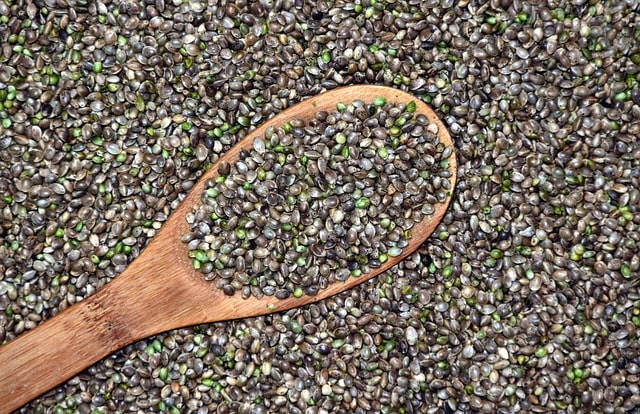 Everything You Need to Know About Hemp Raw Cones