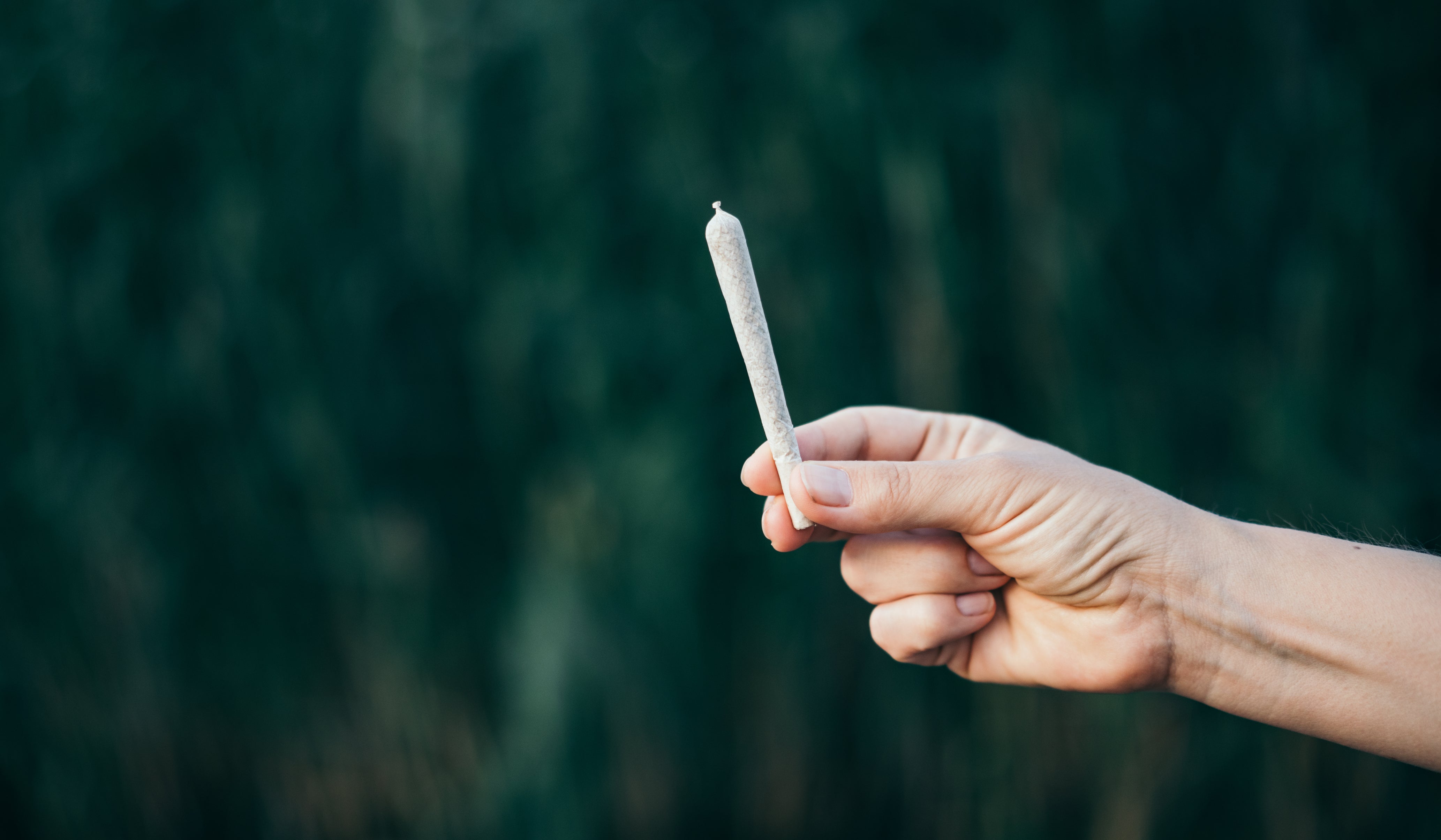 How to Pack RAW Cones 1 1/4 for Perfect Flavor and Burn