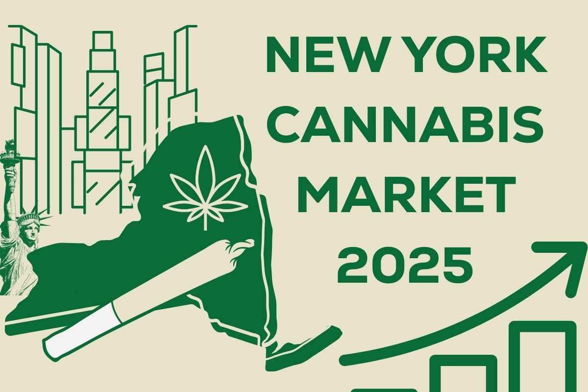New York 2025 Pre-Roll & Cannabis Market Guide