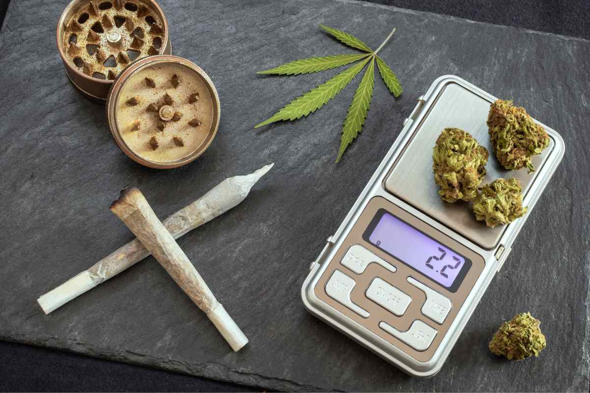 Weed Size Chart 2026: Grams, Eighths, Quarters & Ounces – Green Blazer