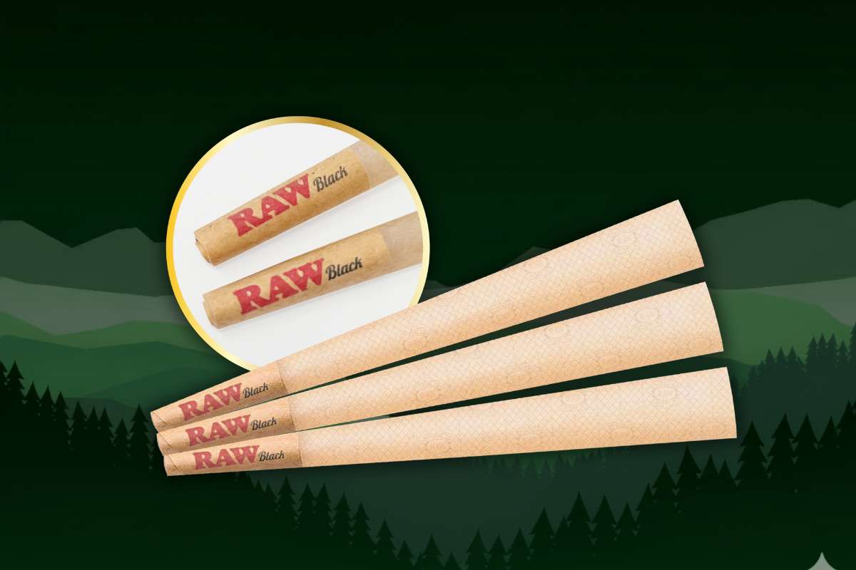 Elevate Your Session: Why RAW Black Cones Are the Connoisseur's Choice