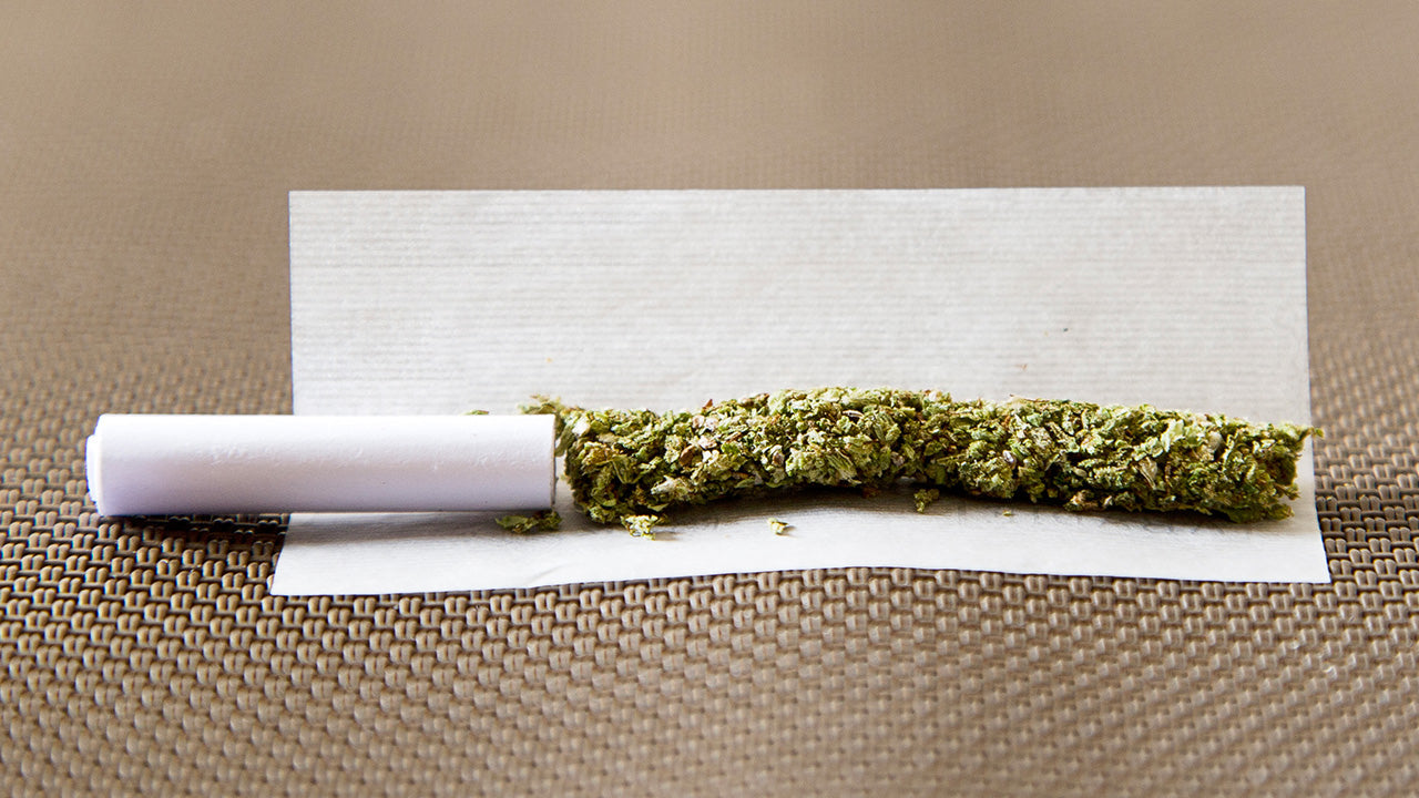Exploring the Evolution of Pre-Rolled Cones: RAW's Legacy