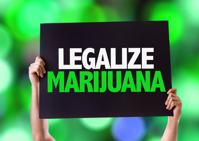 Cannabis Laws & Bills: Will the US Legalize Cannabis