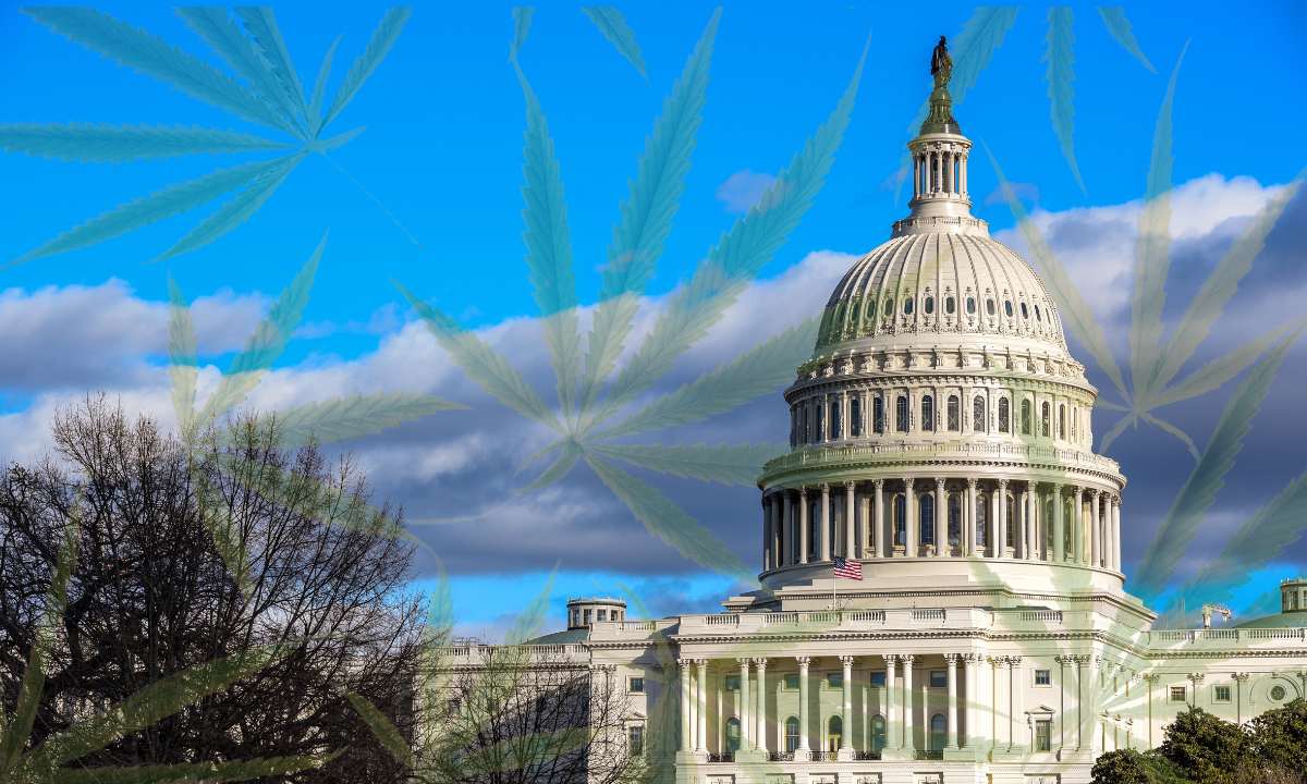 Illinois Hit Pause on New Cannabis Licenses — And the Industry Is Stuck in Limbo