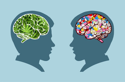Research on Cannabis as Anxiety Medication for Mental Health