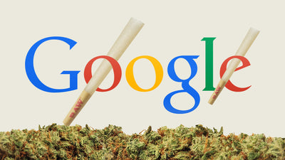 What Google Search Volume Tells Us About RAW Rolling Papers