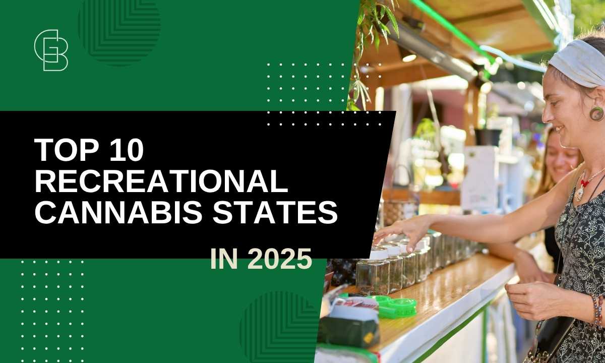 The Best States for Recreational Cannabis in 2025 : Top 10 Ranked