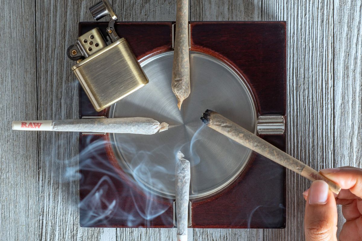 Classic, Organic Hemp, Black & Ethereal : Which RAW Cone is Right for You?