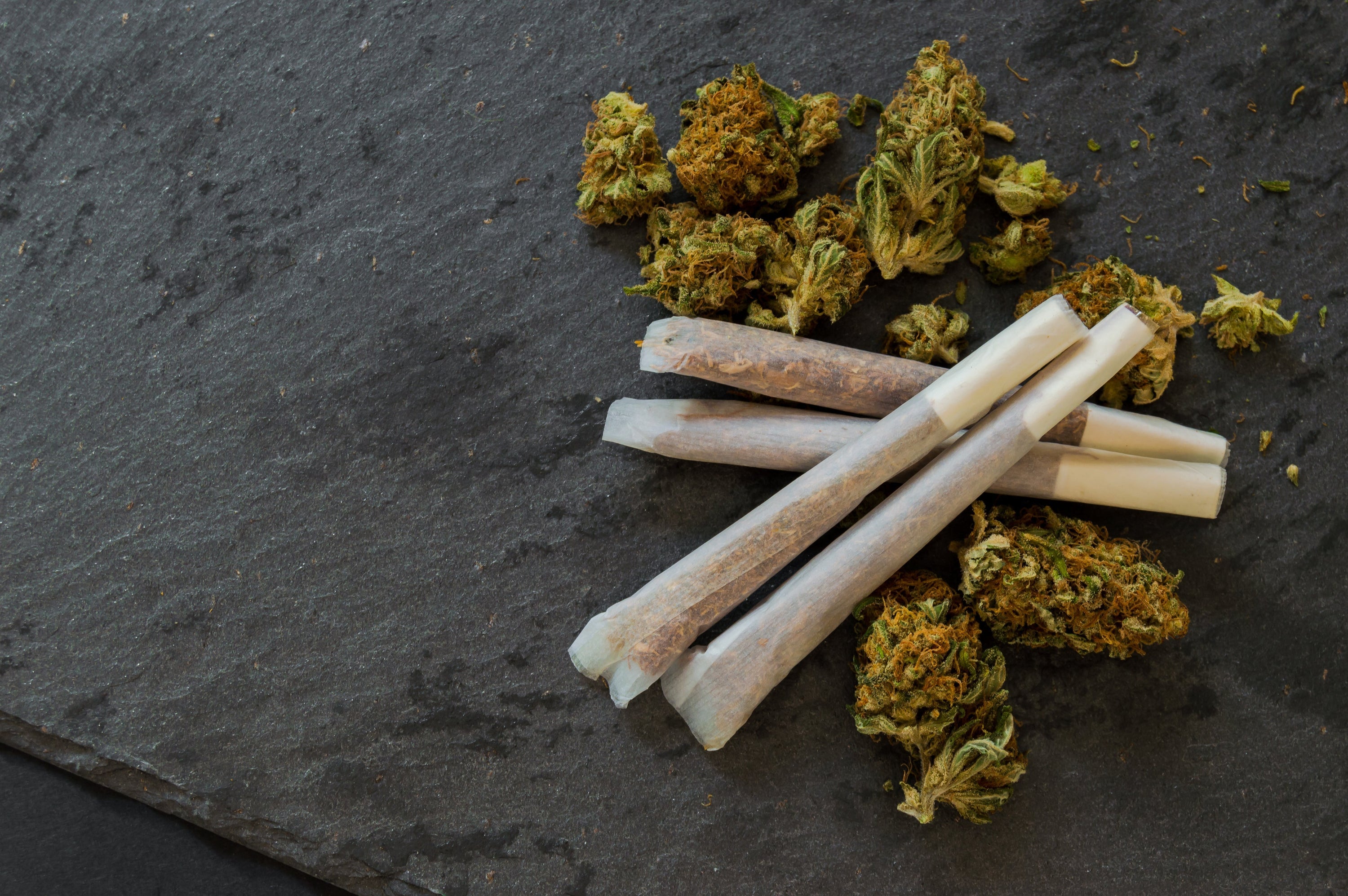 Best Moisture Levels for Flower When Filling RAW Cones to Avoid Tunneling