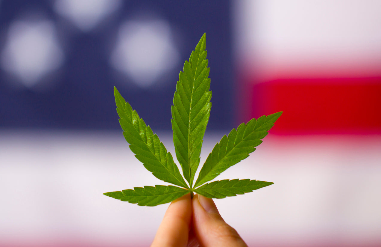 Cannabis Rescheduling in 2025: Where It Stands Plus State-by-State Highlights